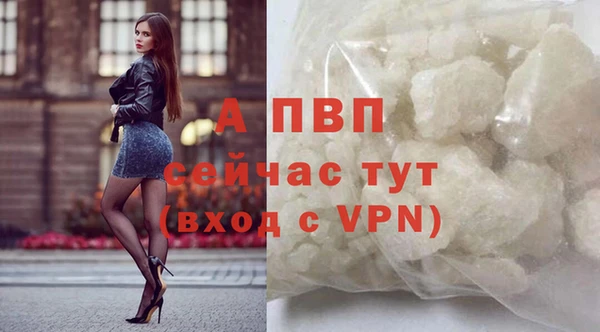 гидра Инта