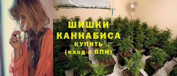 крисы Заводоуковск