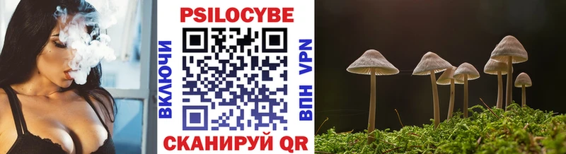Купить закладки  Котовск  Псилоцибиновые грибы мухоморы 