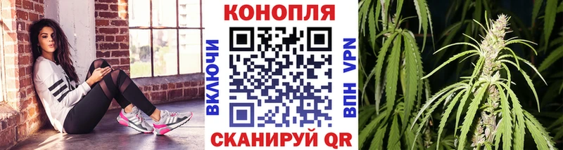 Шишки марихуана Bruce Banner  Купить закладки  Котовск 